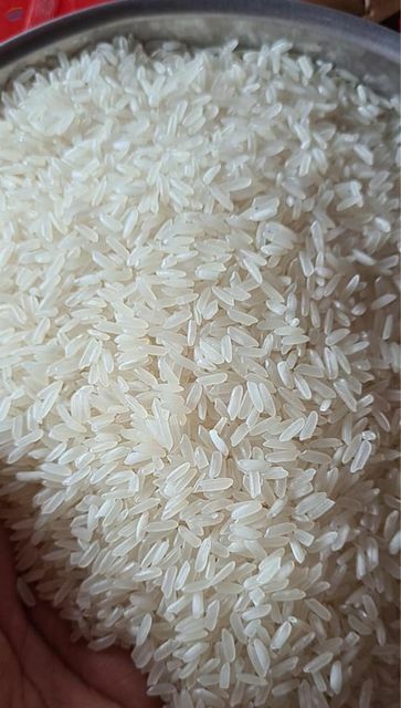 Rainha Brasil Type 1 Long Fine Rice from Brazil - Freshdi