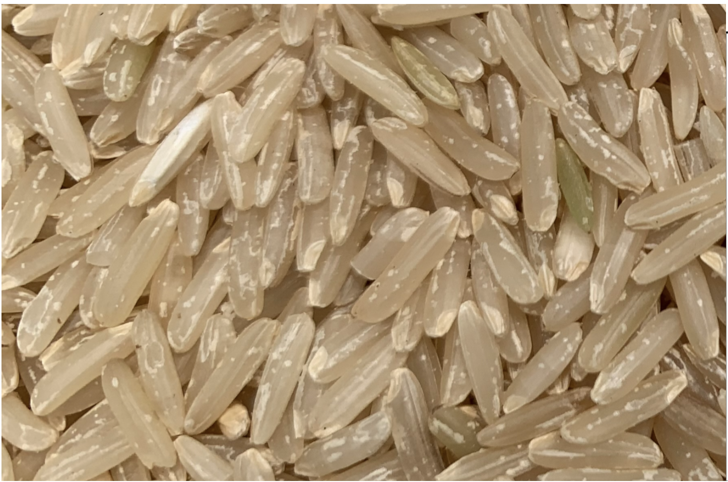 Brazil Brown Jasmine Rice<br>