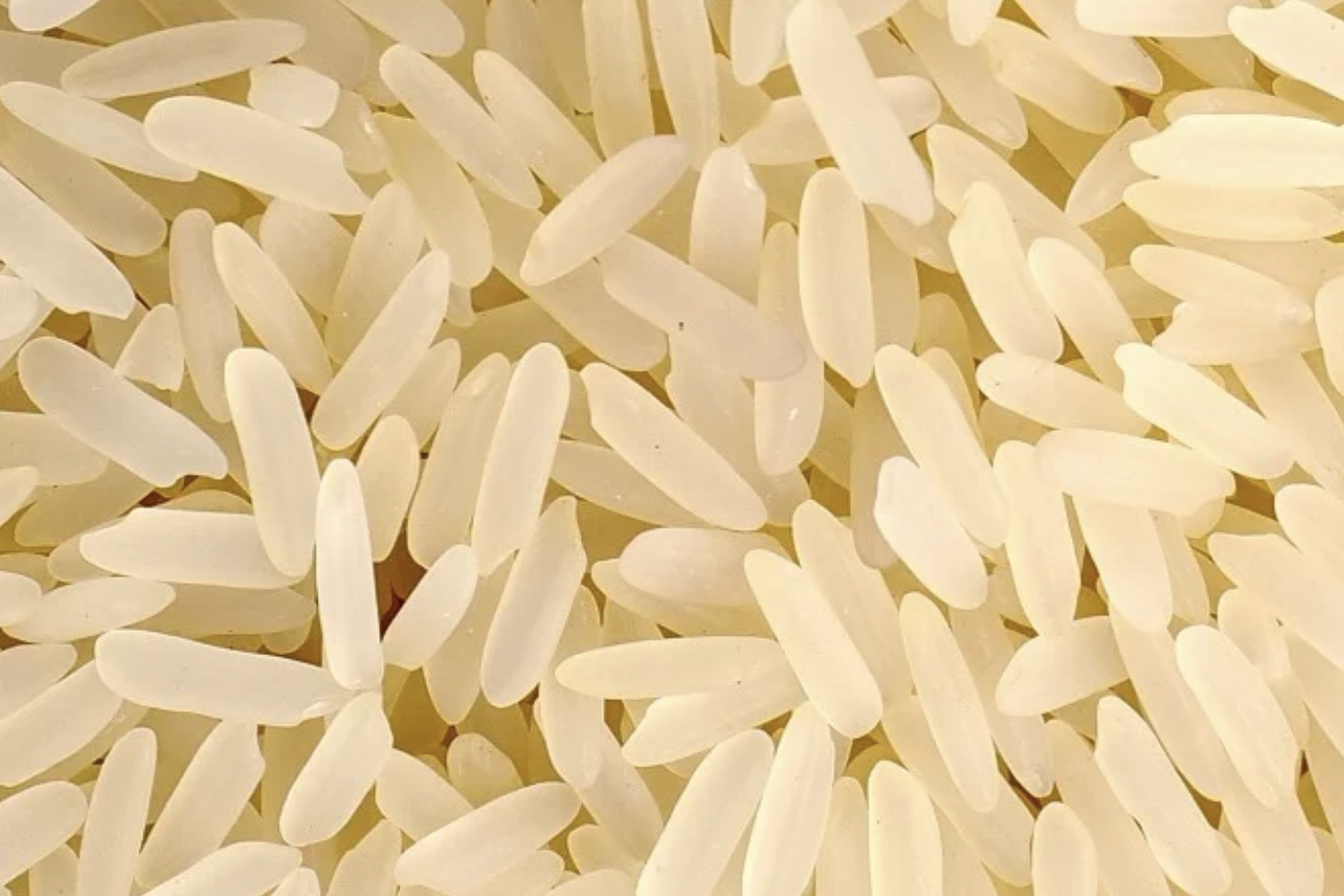 Brazil Parboiled Rice&nbsp;<br>